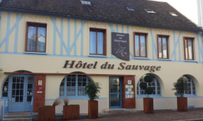Гостиница Hôtel du Sauvage  Ла-Ферте-Су-Жуарр